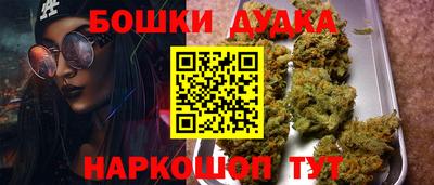 индика Кулебаки