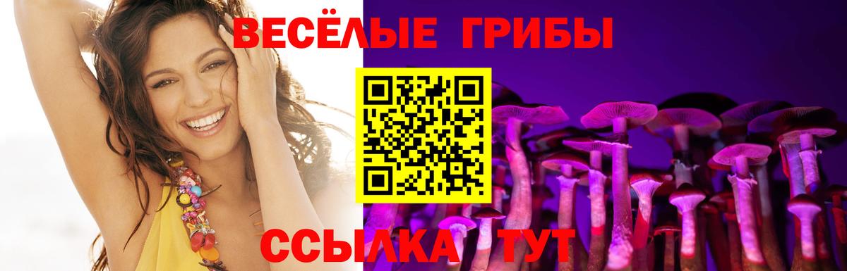 Псилоцибиновые грибы Magic Shrooms  Вход с VPN  Волгодонск  Псилоцибиновые грибы Psilocybine cubensis 